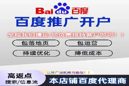 百度平台推广策略及成功案例解析
